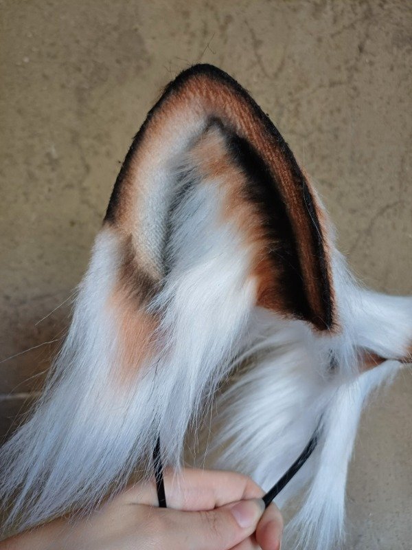 Producto - Gato degradé