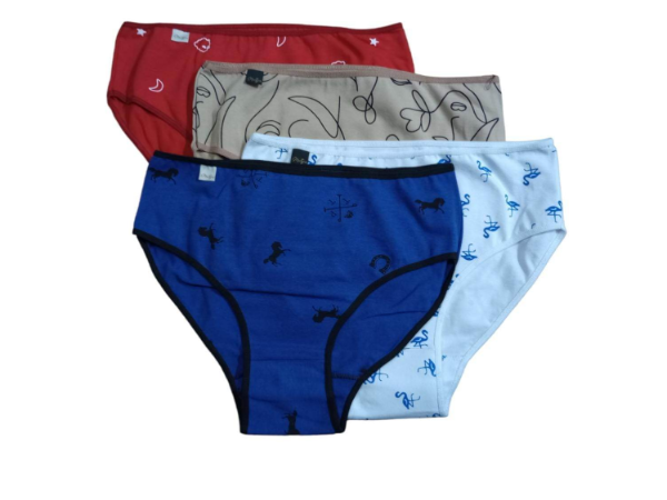Producto - 40/41/42 - Bombachas de Señora TC UN ES
