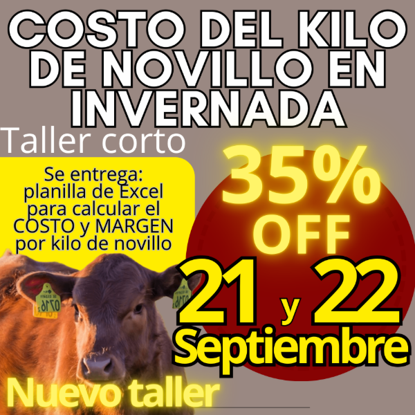 Producto - Taller corto: cálculo del costo del kilo de novillo - 0