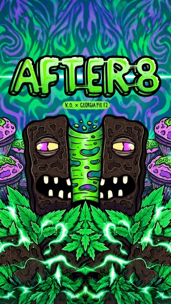 Producto - AFTER 8 (3 unidades) - 0