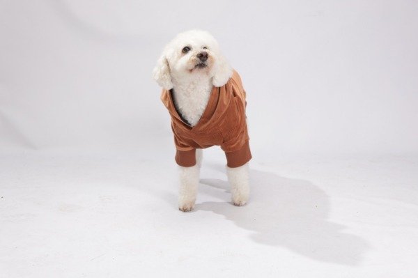 Producto - Buzo  PLUSH  MORLEY urbano - 3