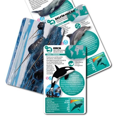 Miniatura de producto - 8