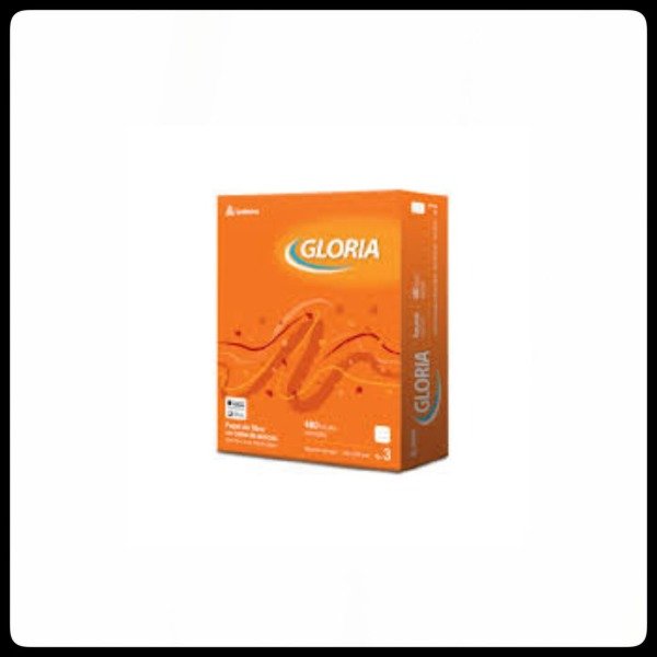 Producto - Repuesto Escolar n3 Tradicional X 480 Hjs.RAYADO GLORIA