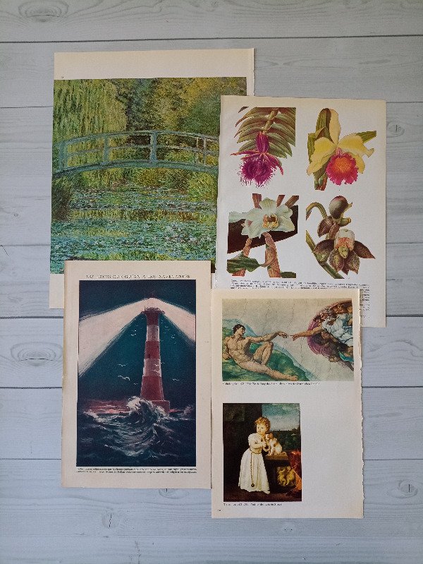 Producto - Kit láminas a color - 15 unidades