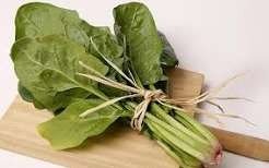 Producto - Espinaca Agroecológica