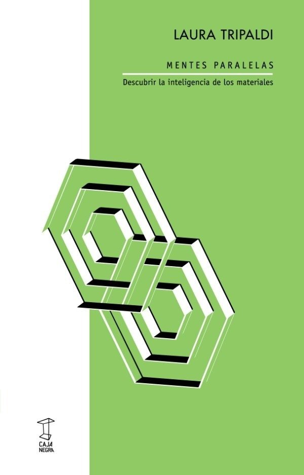 Producto - Mentes paralelas - Laura Tripaldi