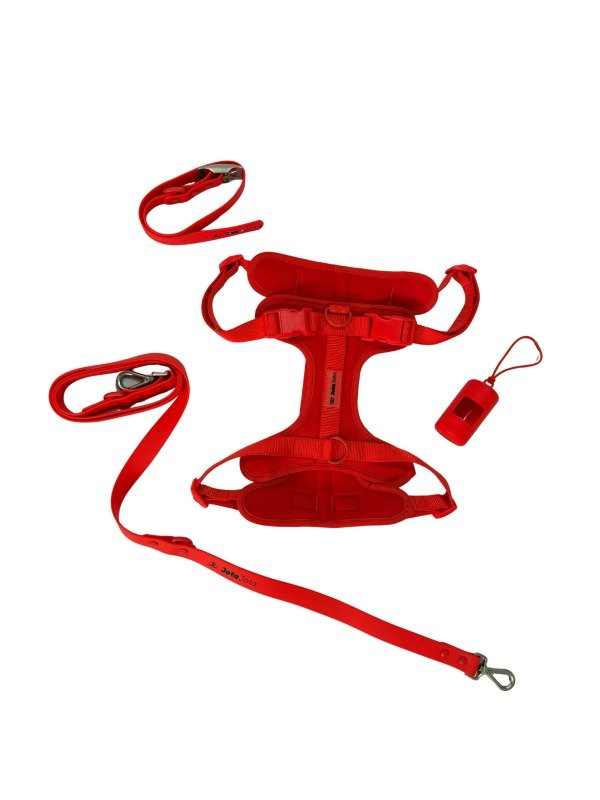 Producto - Set Sarah x4 + peluche de regalo