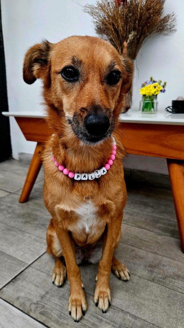 Miniatura de producto - 12