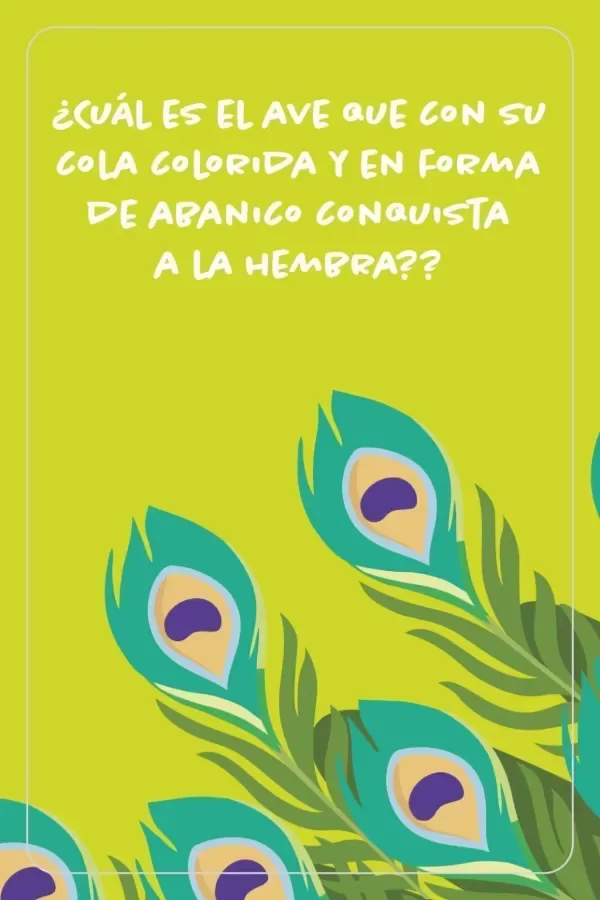 Producto - Cartas de adivinanzas: quién es - Oso Pardo - 4