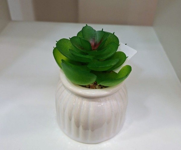Producto - Planta Chica Artificial