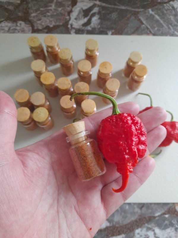 Producto - Polvo Superpicante x 5 gr. (Dragon's Breath + Reaper + Moruga) - 0