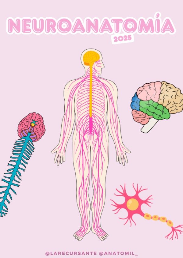 Producto - compilado neuro - pdf