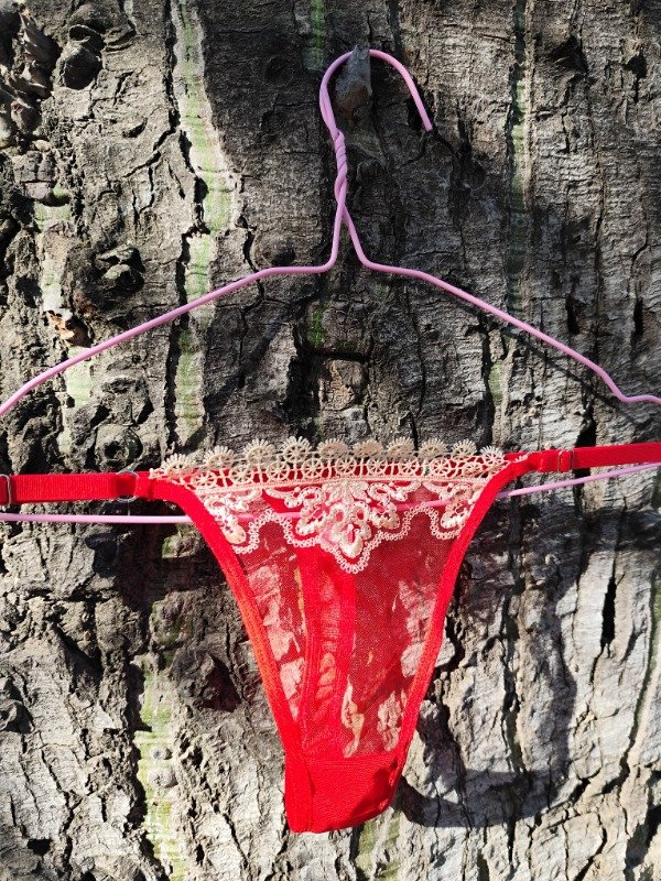 Producto - Tangas bordos rojo