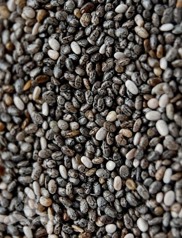 Producto - Chia
