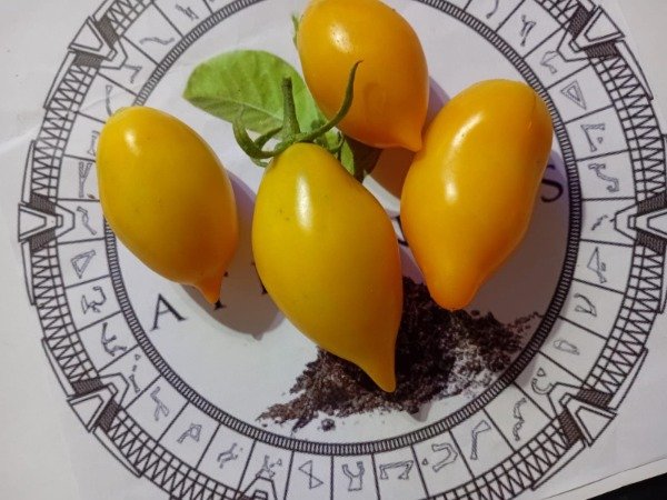 Miniatura de producto - 1