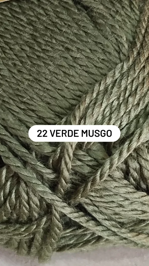 Producto - 0022 VERDE MUSGO (ROMA)