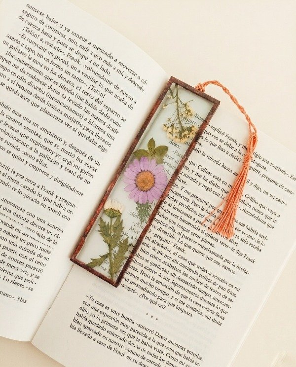 Producto - SEÑALADOR LIBROS