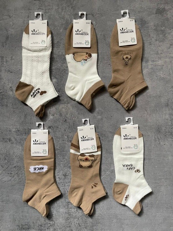 Producto - Soquetes CAPIBARA - pack x12