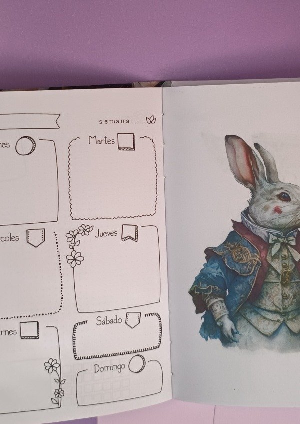 Miniatura de producto - 11