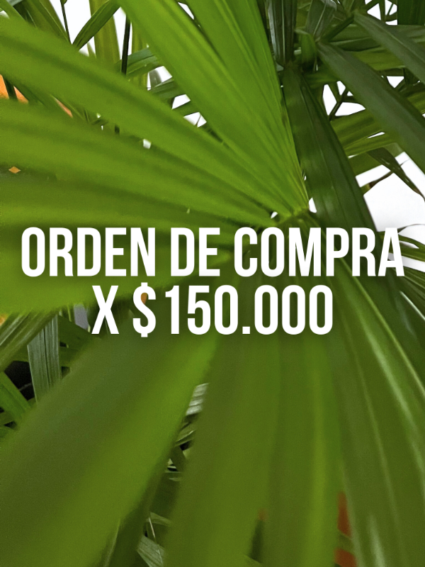 Producto - ORDEN DE COMPRA X 150.000