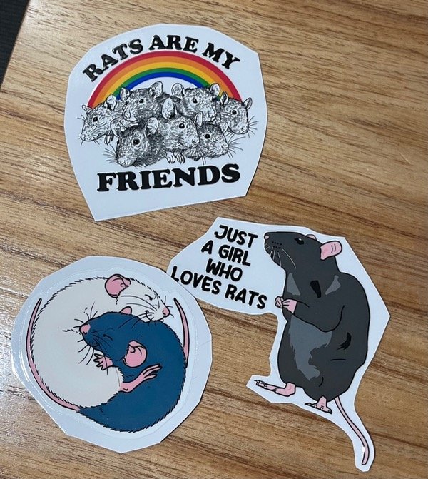 Producto - Pack ratas