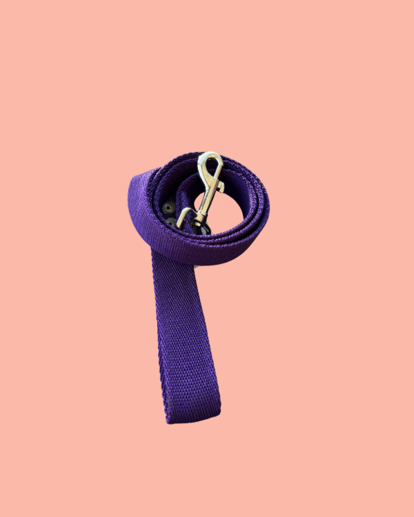 Producto - Correa Nylon N5