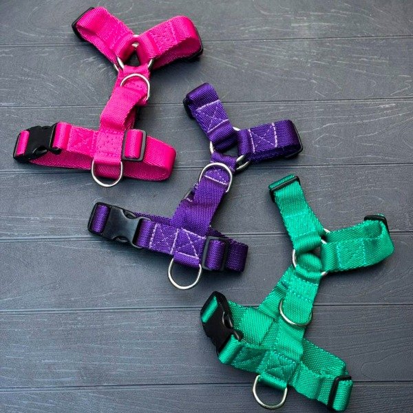 Producto - Pretal H - Talle M