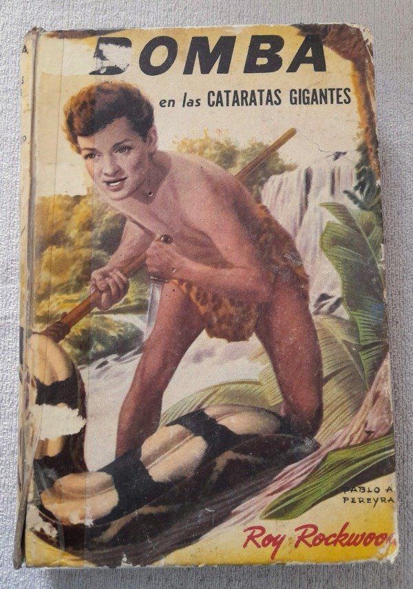 Producto - Bomba En Las Cataratas Gigantes - Roy Rockwood - Robin Hood