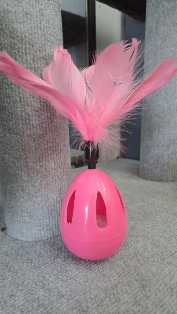 Producto - Huevo con plumas