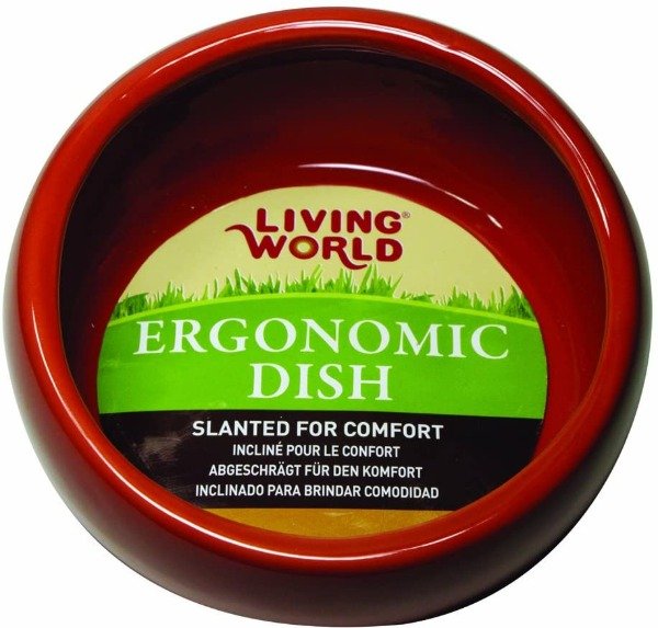 Producto - Ergonomic dish (Living World)