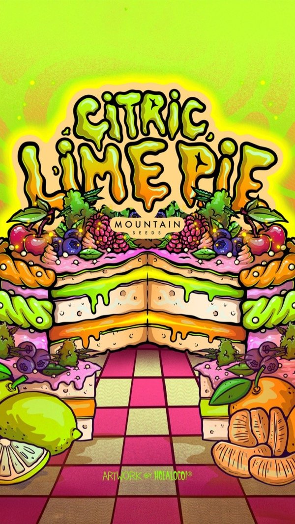 Producto - CITRIC LIME PIE (3 unidades) - 0