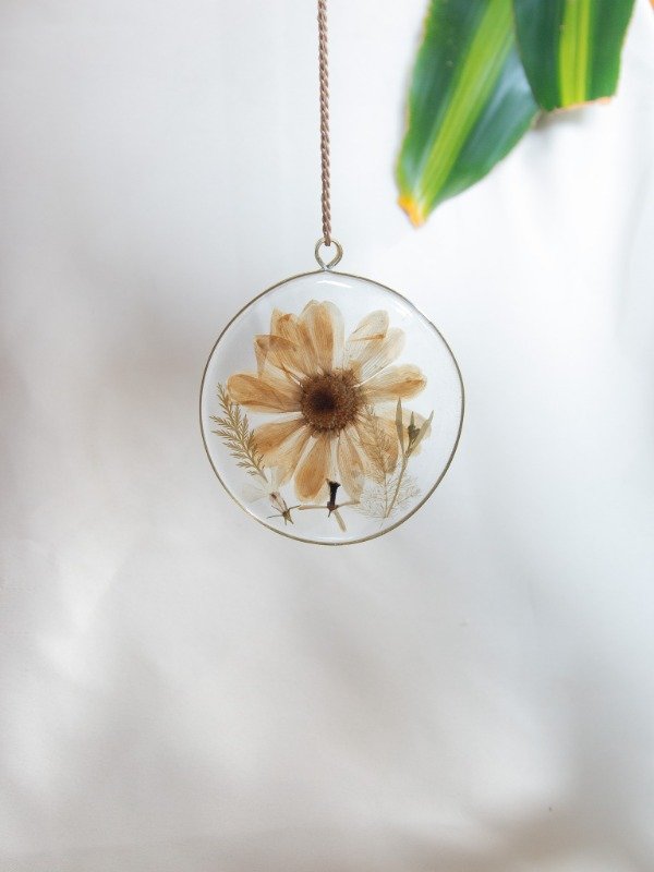 Producto - Margarita silvestres - 1