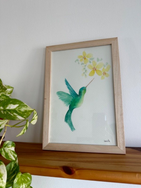 Producto - Colibrí