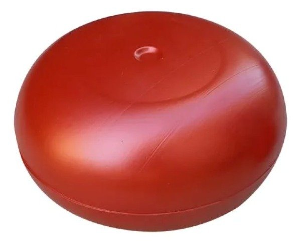 Producto - LENTEJA INFLADA PROPIOCEPCION