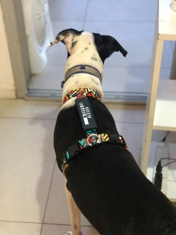 Miniatura de producto - 5