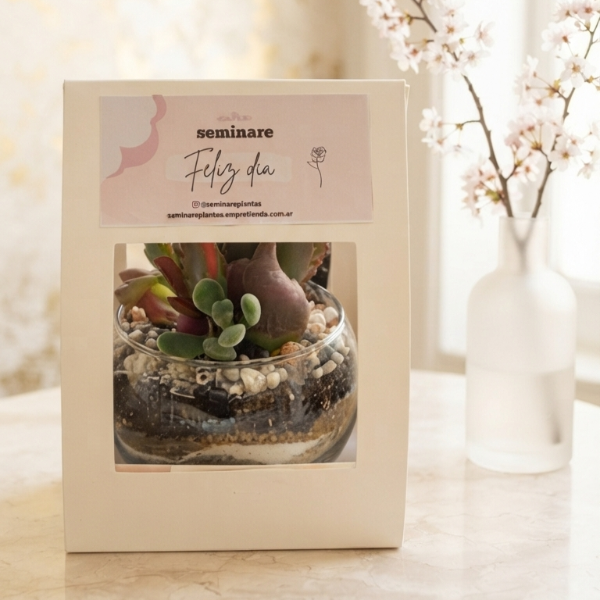 Producto - Souvenir - Terrario Mandy 2 - 2
