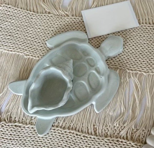Producto - Oferta molde bandeja tortuga - 0