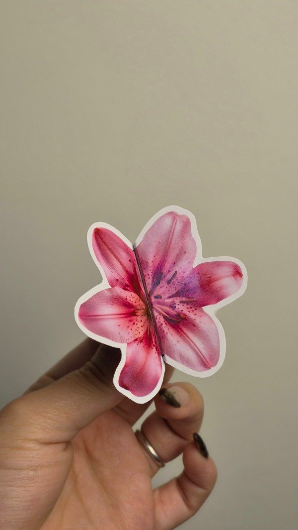 Producto - Tarjetas promocionables personalizables - 1