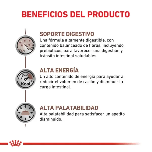 Producto - Lata Royal Canin Gastrointestinal Canine - Royal Canin 200 Gr - 2