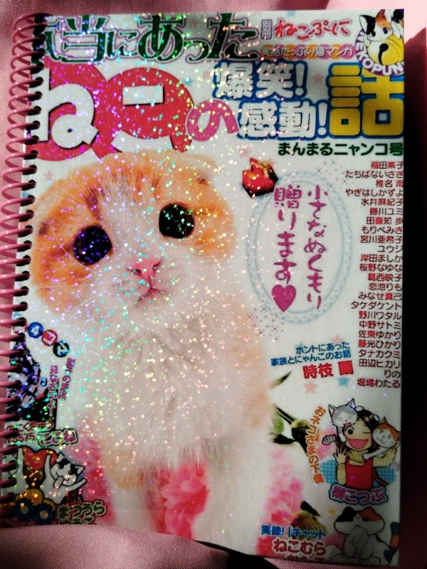 Producto - Cuaderno Neko holográfico