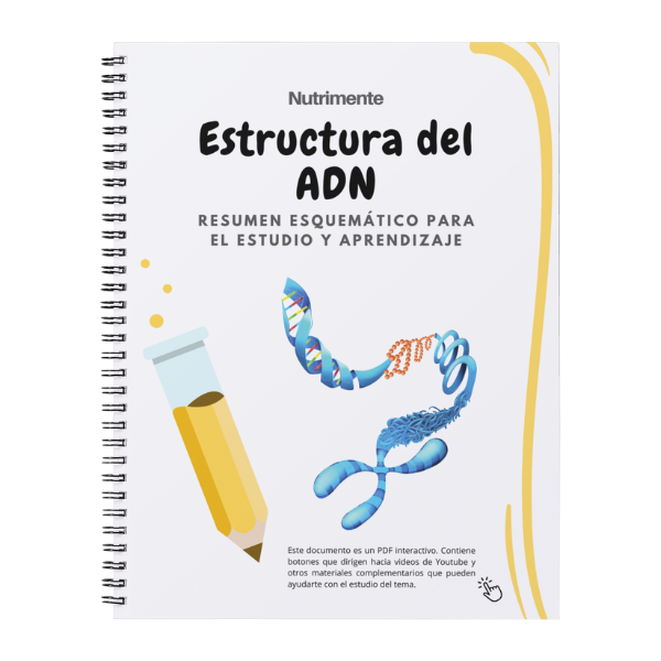 Producto - Guía Estructura del ADN