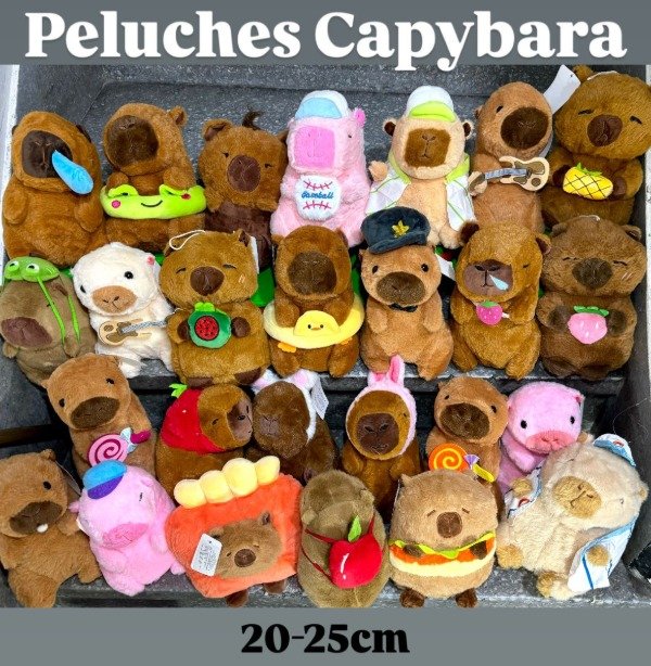 Producto - Peluches Capybara 20-25cm