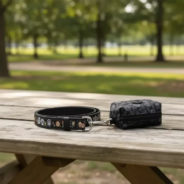 Producto - Juego De Correa Para Mascotas Coco Disney Tails Negro