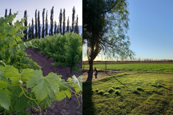 Miniatura de producto - 8