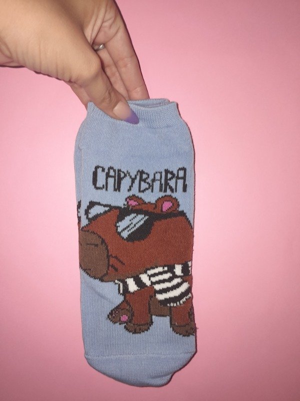 Producto - Capibara lentes