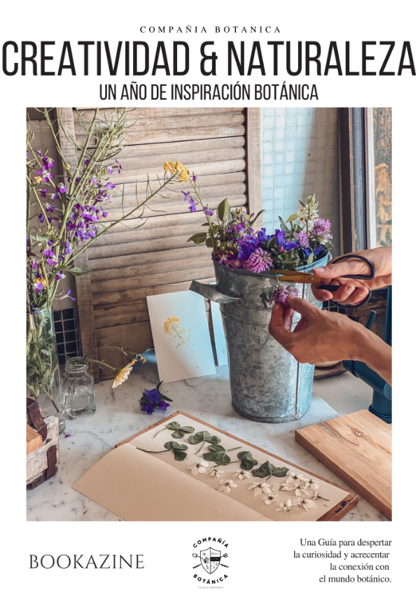 Producto - Creatividad y Naturaleza / Un año de Inspiracion Botánica