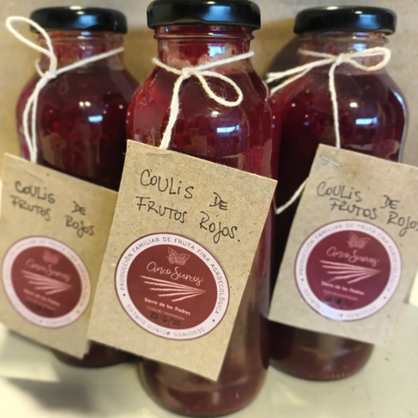 Producto - Coulis de frutos rojos "Cinco Surcos" - 330 cc