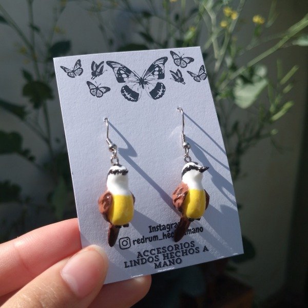 Producto - Aritos Benteveo