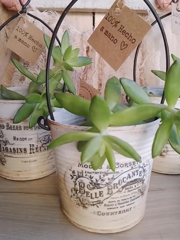 Producto - Trío de macetas vintage