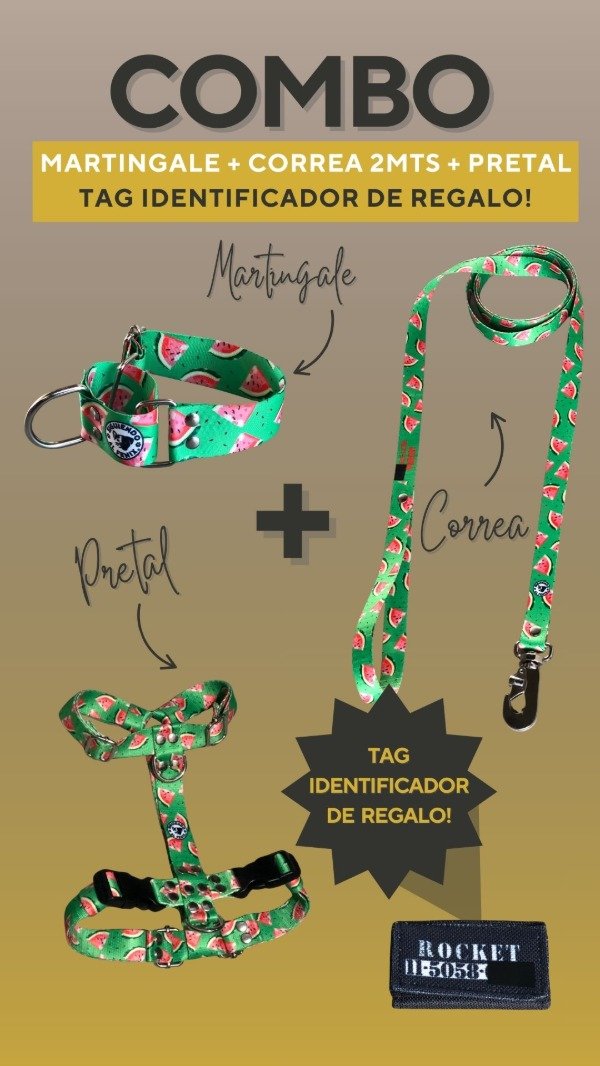 Producto - Martingale + Correa + Pretal H + [Tag de REGALO!]